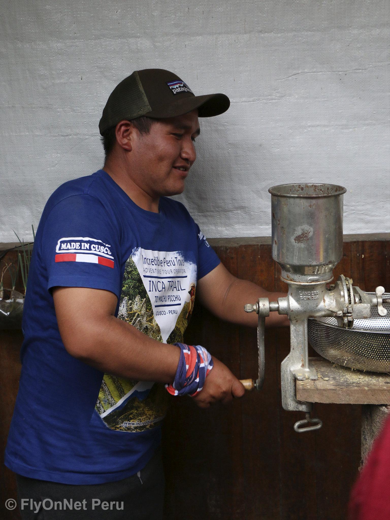 Photo Album: Visit to the coffee plantation